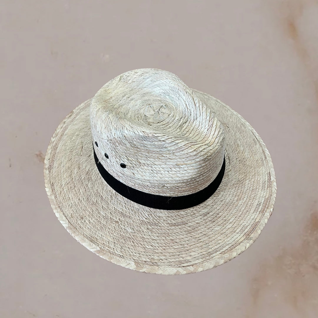 Palma Fedora